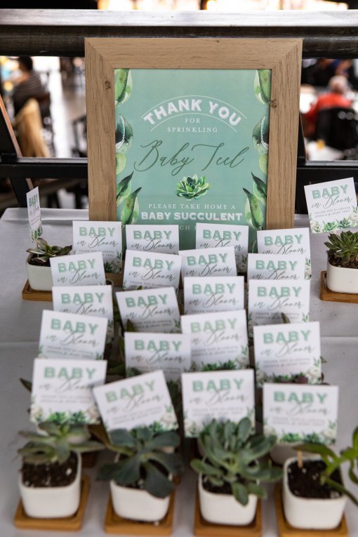 Succulent Themed Baby Shower Nico and Lala