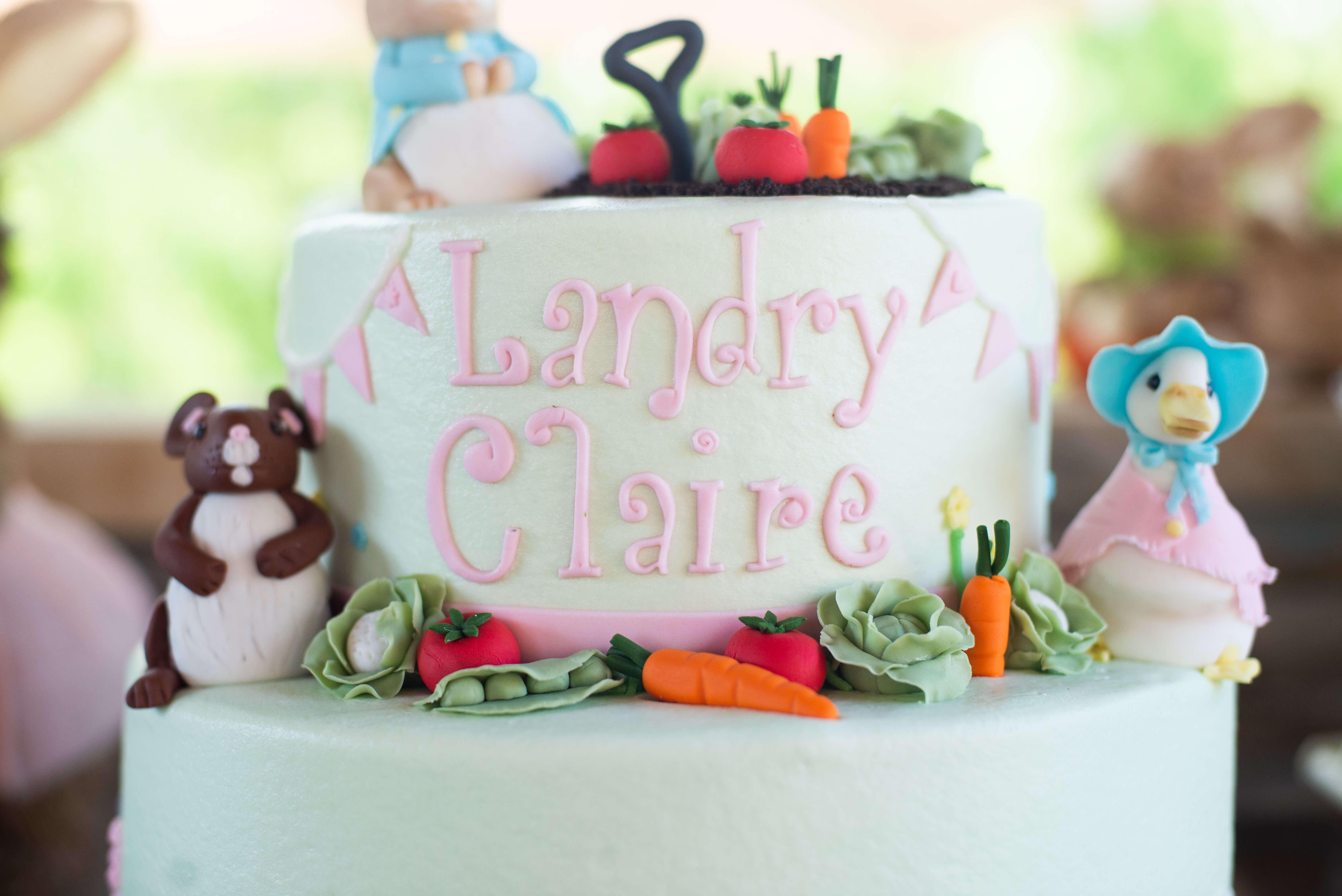 Peter Rabbit themed first birthday cake